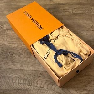 Louis Vuitton sneakers